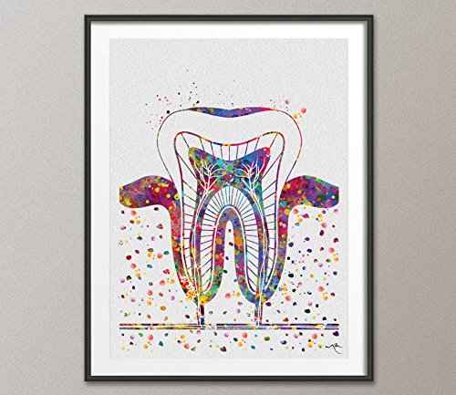 Molar dientes diente de impresi贸n de acuarela arte anat贸mico Dental Clinic Decoraci贸n Arte Odontolog铆a estudiante ciencia Graduaiton dentista regalo m茅dico art-1035, M, 11.70 x 16.55